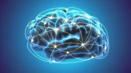 Brain Boost Intelligence Increase Concept