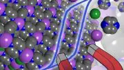 Next-Generation Molecule-Based Magnets